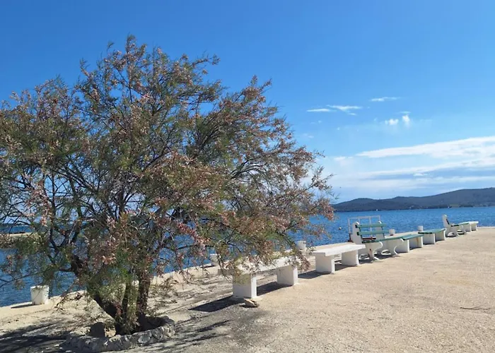 Providenca Camping *